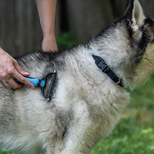ČEŠALJ ZA SKUPLJANJE OPADAJUĆE DLAKE